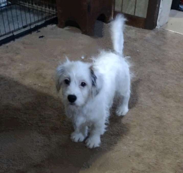 Photo of Astro
