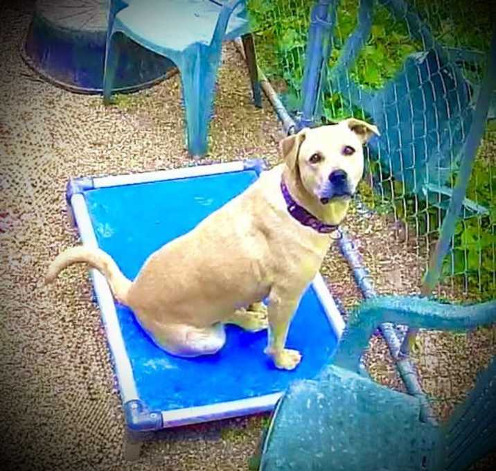Photo of Kia