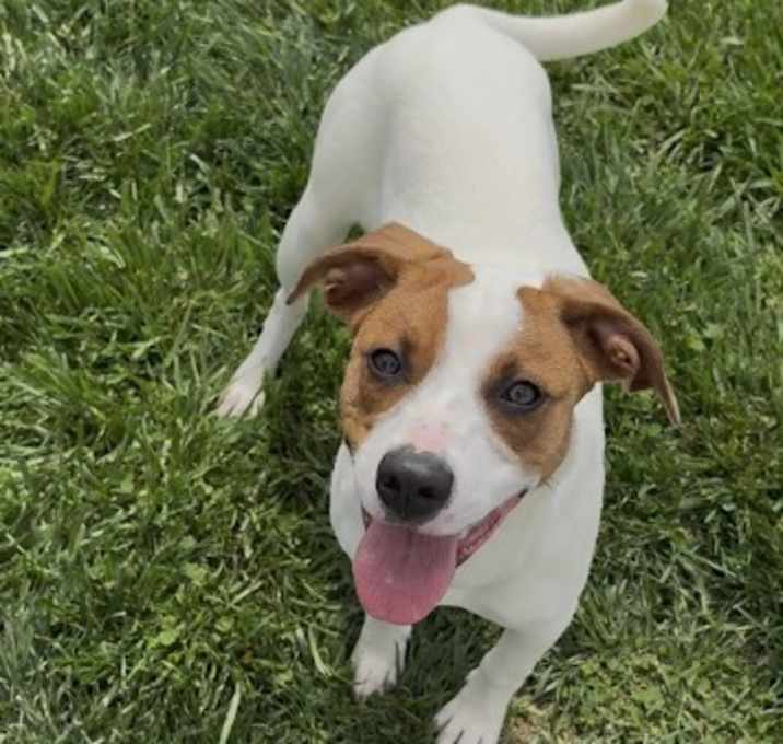 Photo of Sadie