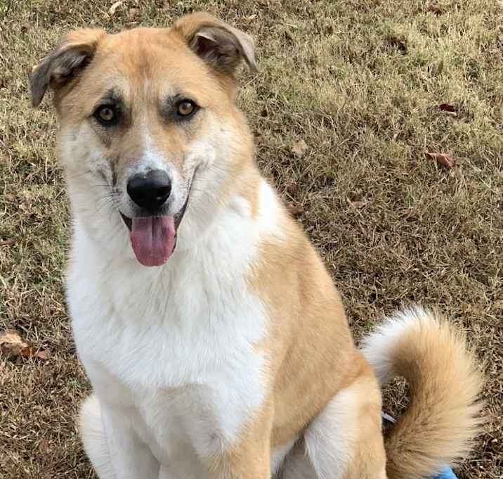 Photo of Jax