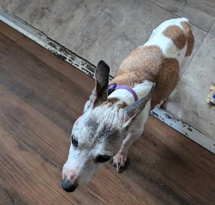 Photo of Thea