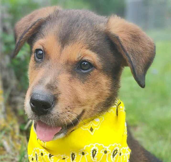 Photo of Floyd