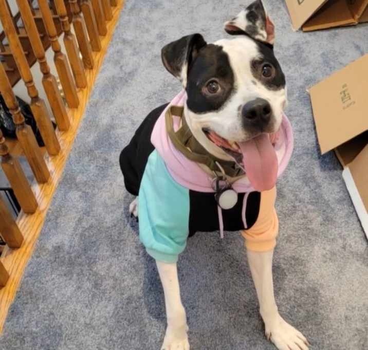 Photo of Mr. Moo