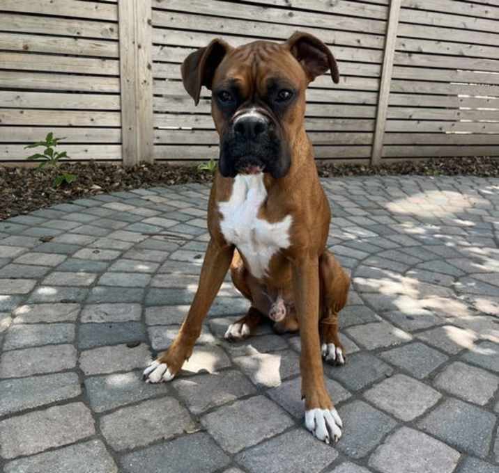 Photo of Tyson