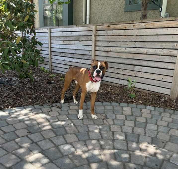 Photo of Bentley