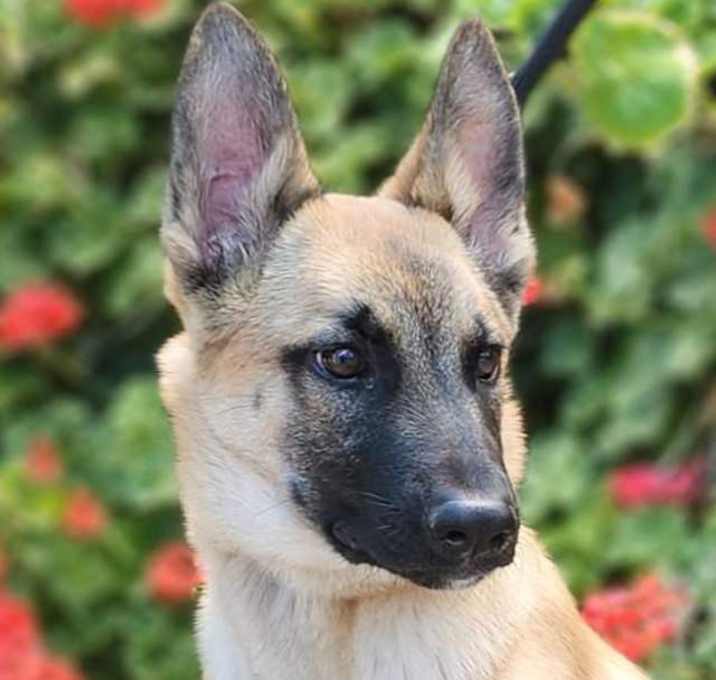 Photo of Marco