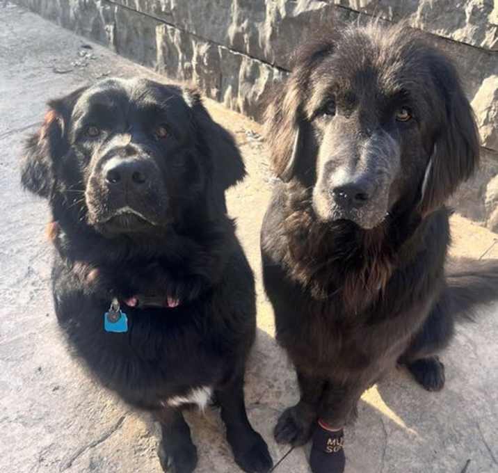 Photo of Journey & Gibbs