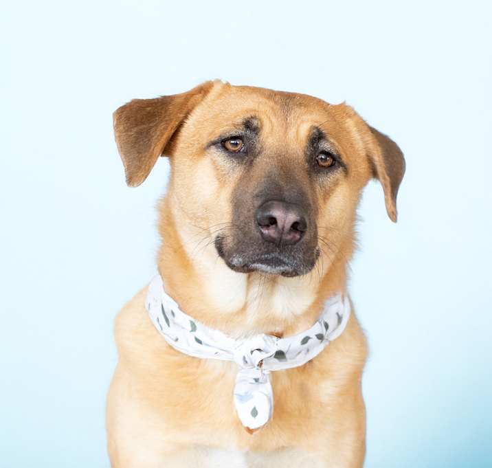 Photo of Leia