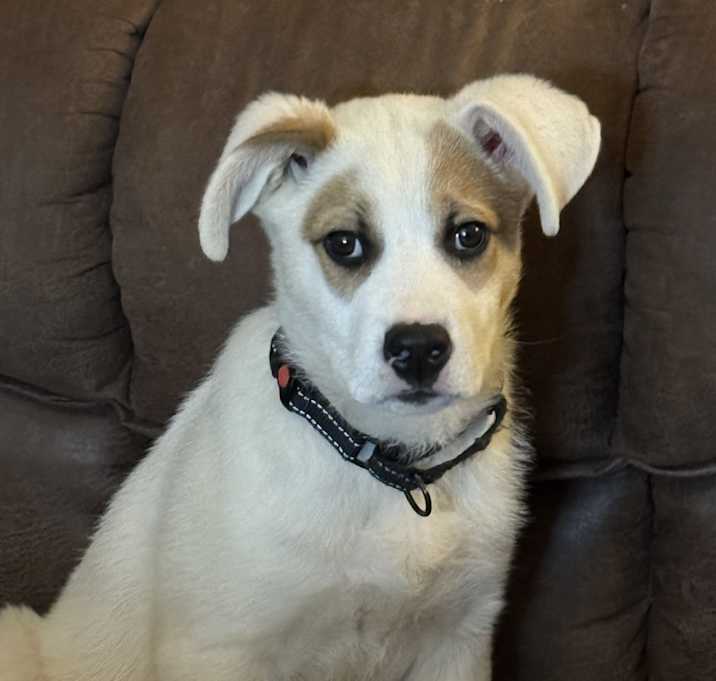 Photo of Kevin