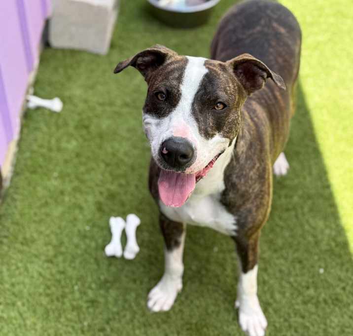 Photo of Ella 6219