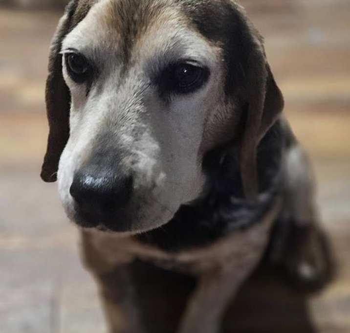 Photo of Edna