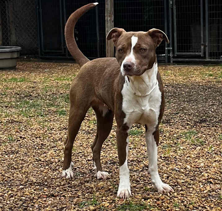 Photo of Coco