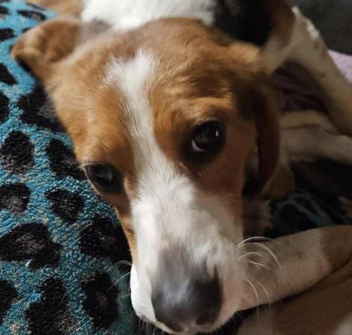 Photo of Doc