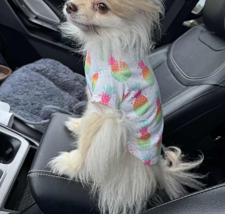 Photo of Bentley