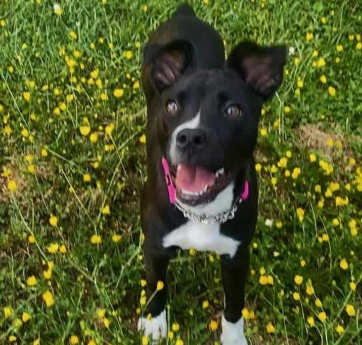 Photo of Tia Marie
