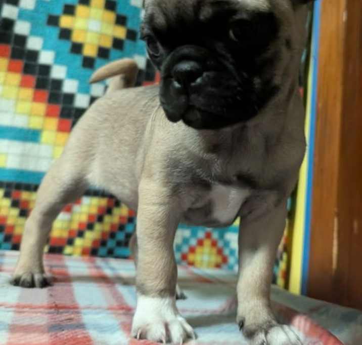 Photo of Faith