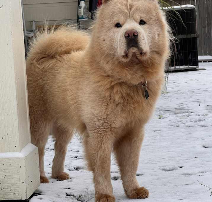 Photo of Bombon