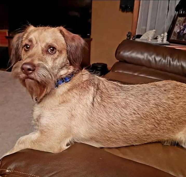 Photo of Gunther-Courtesy post