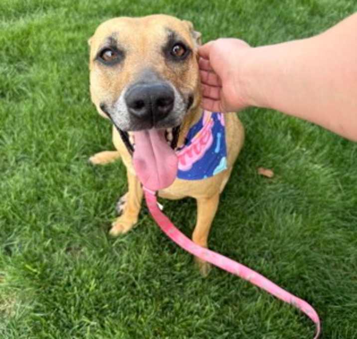 Photo of Roxy
