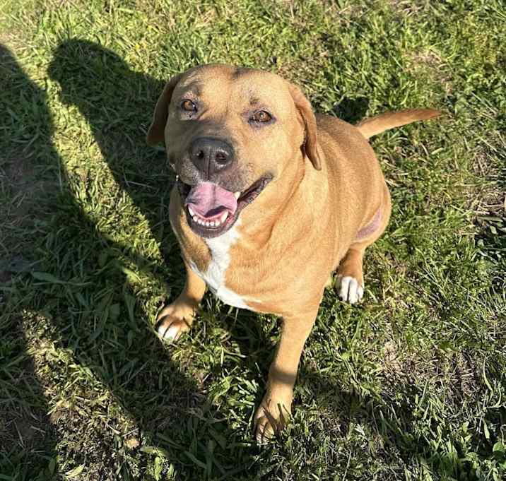 Photo of Charlie