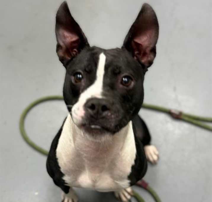 Photo of MUNCHIE