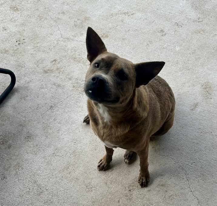 Photo of Aspen