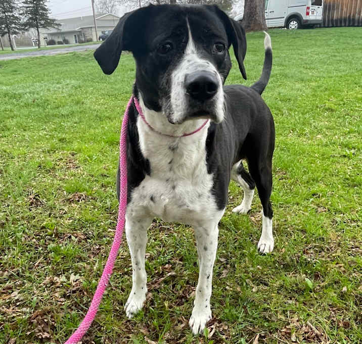 Photo of Pepper