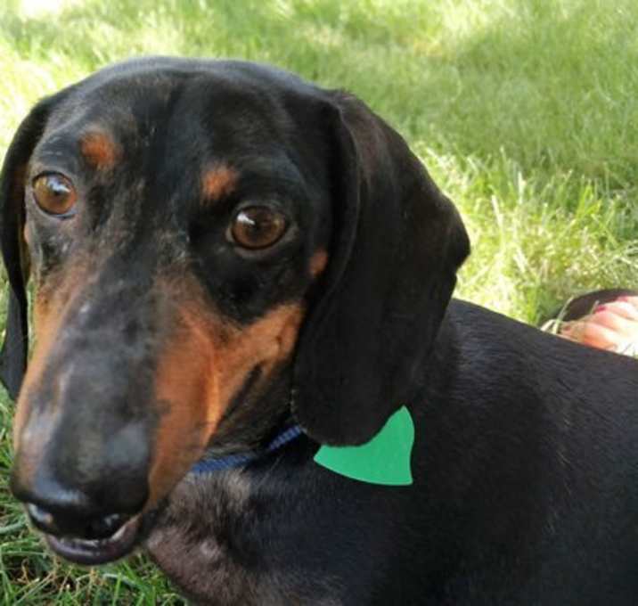 Photo of Cooper