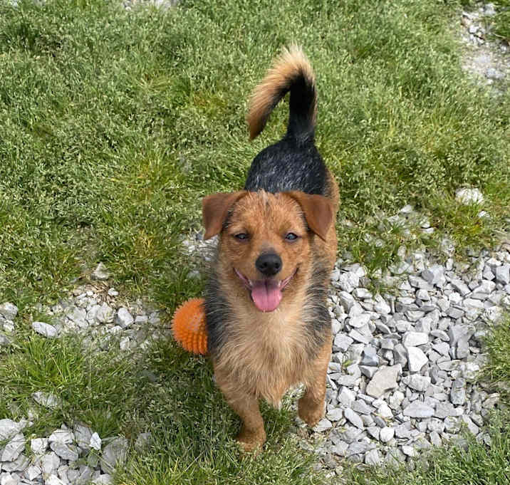 Photo of Hunter