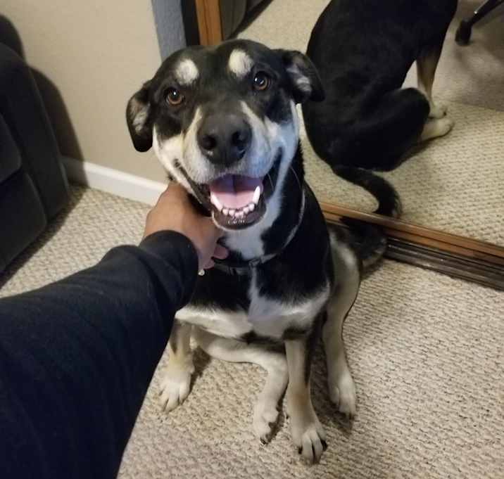 Photo of Atlas