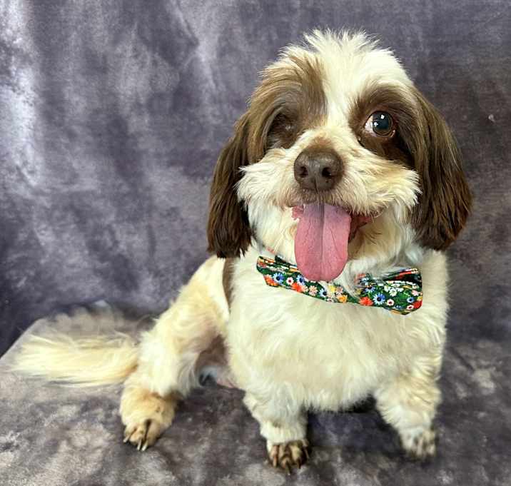 Photo of Walter