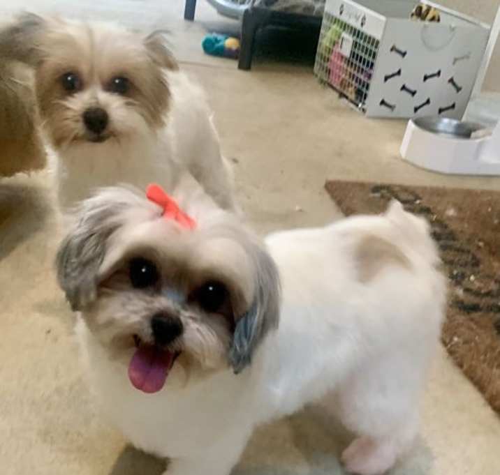 Photo of Mona & Krumpus