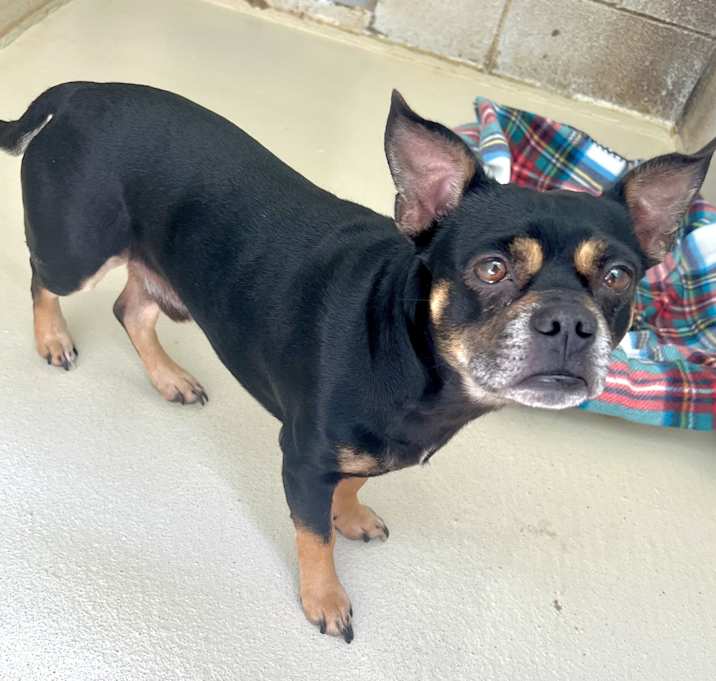 Photo of Buddy