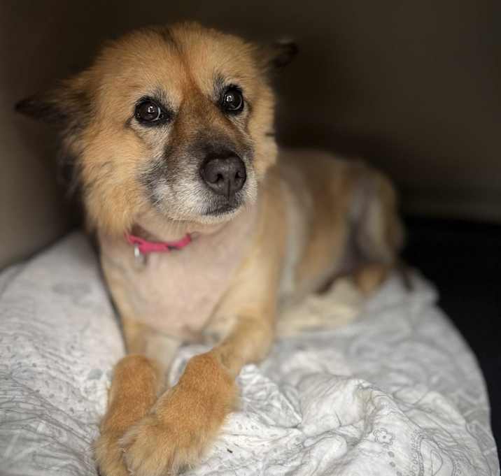 Photo of Ellie