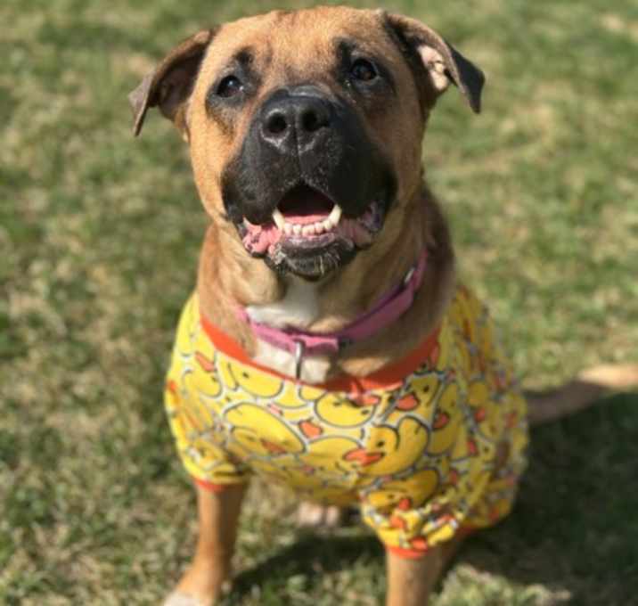 Photo of Holly