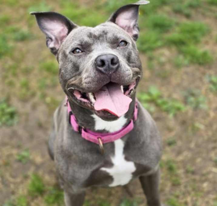 Photo of Nova