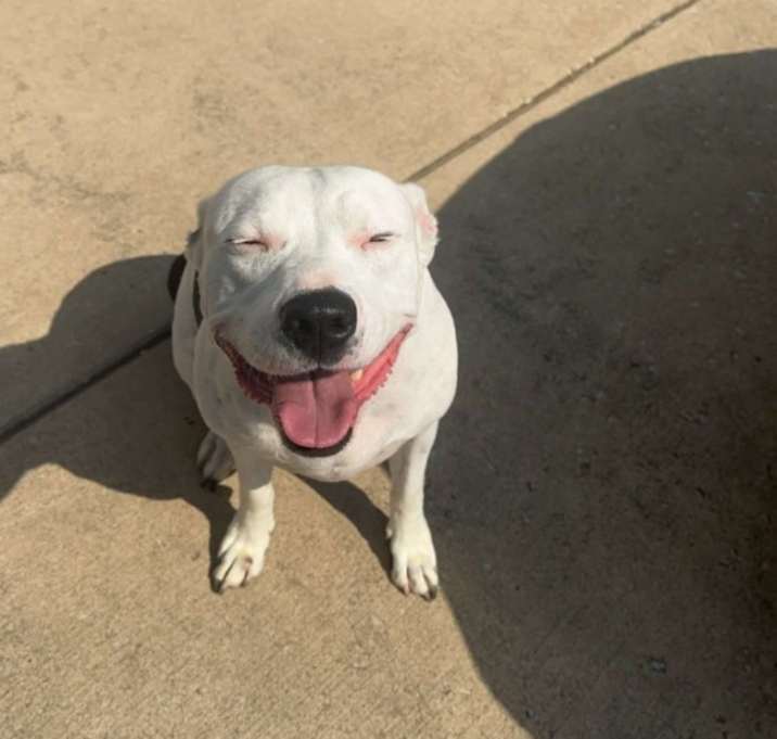 Photo of Gus