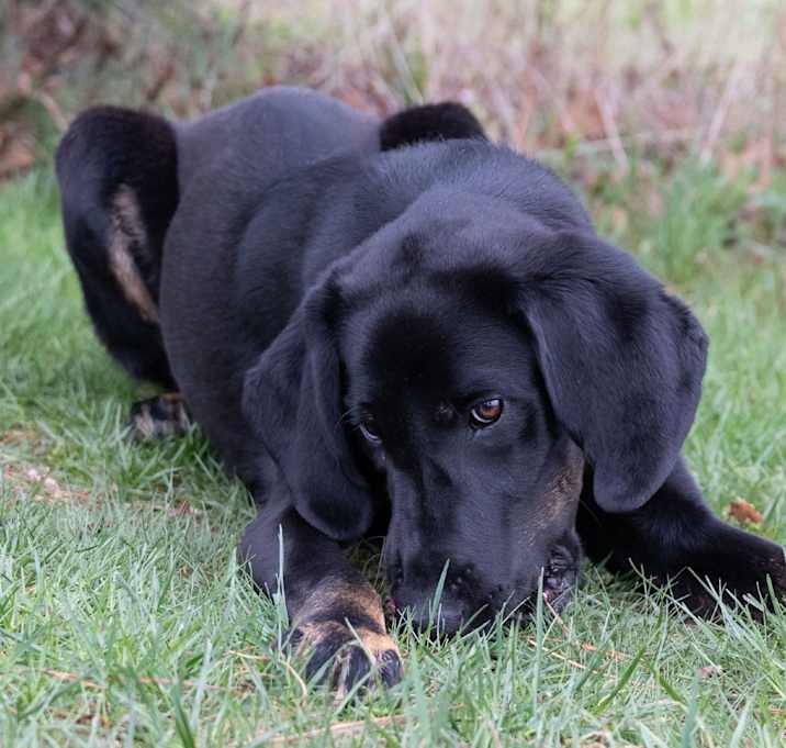 Photo of Nyx