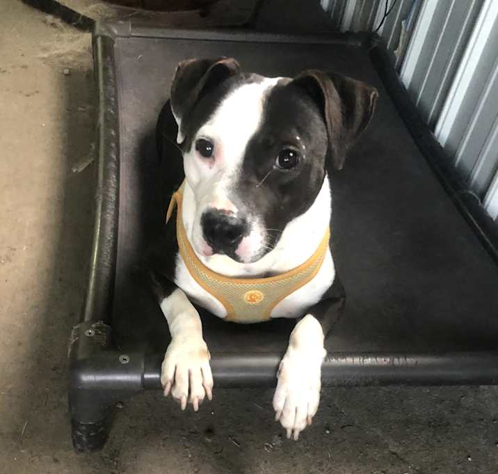 Photo of Zeus