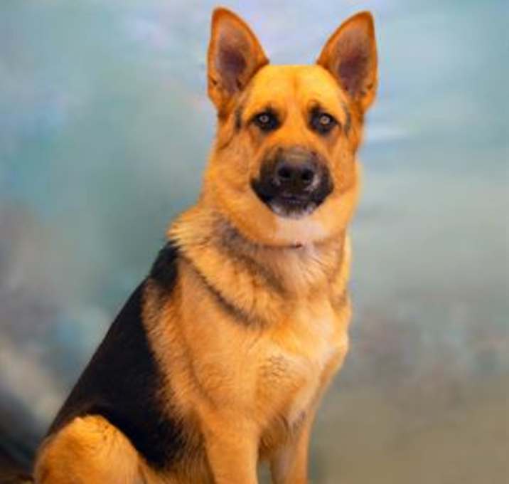 Photo of TEDDY