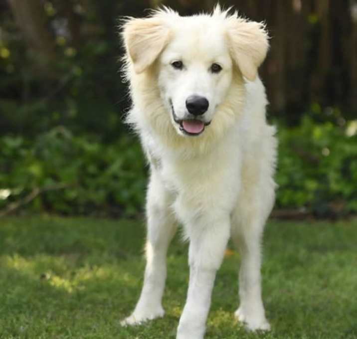 Photo of Hopper