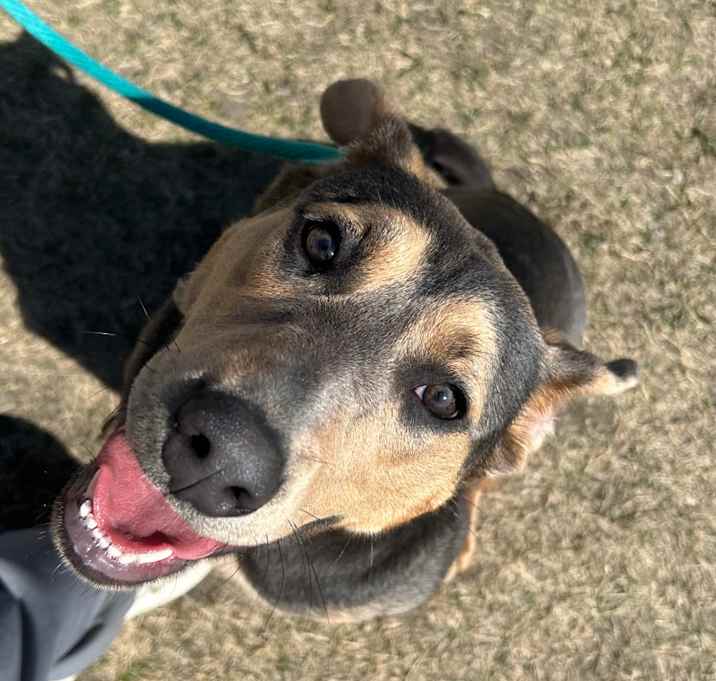 Photo of Delilah