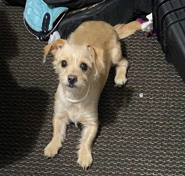 Photo of Deenie