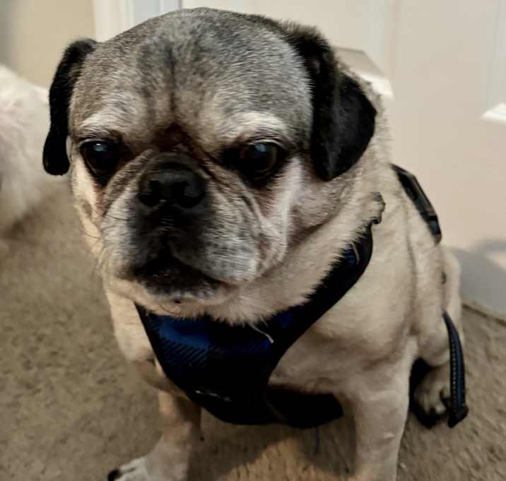 Photo of Vinnie
