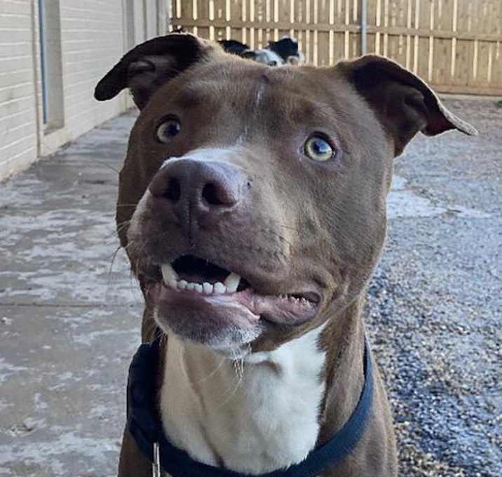 Photo of Jax