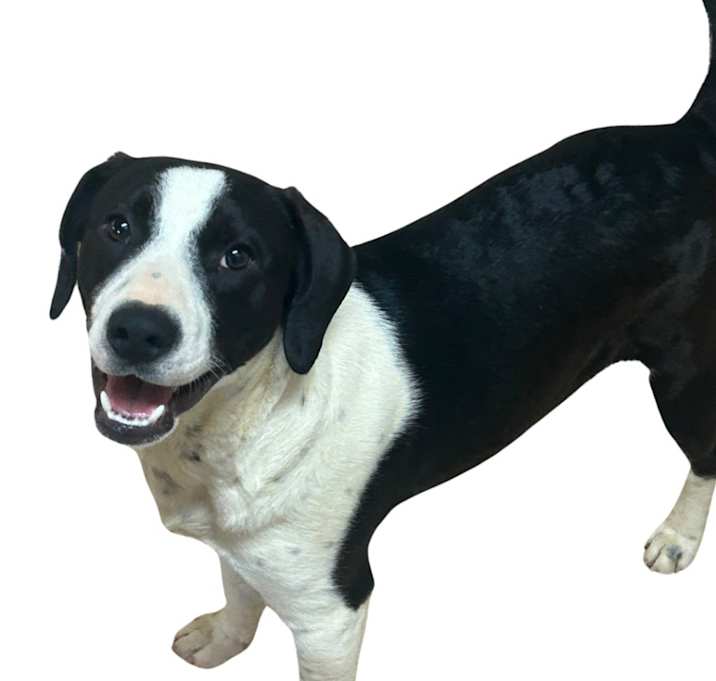 Photo of DIEGO