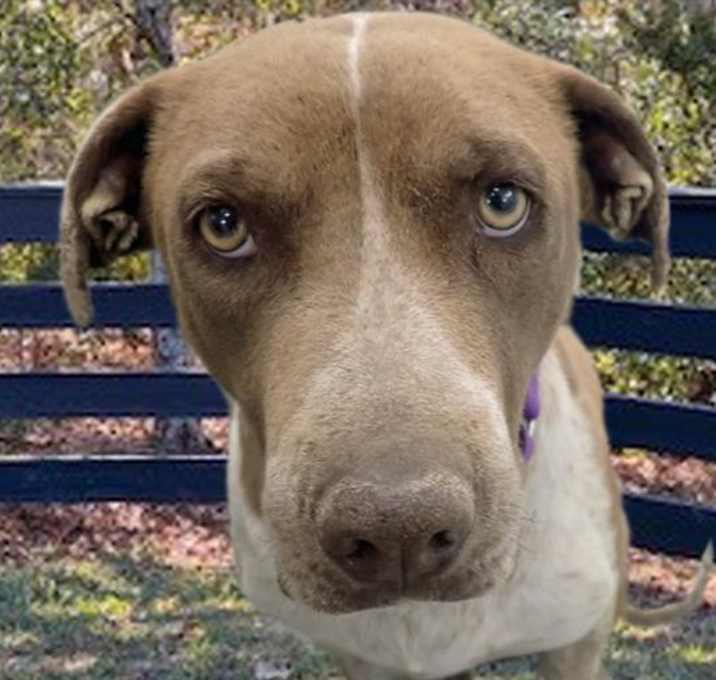 Photo of CECILY*