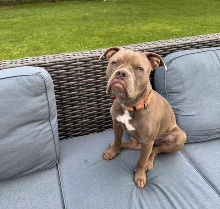 Photo of Taz (formerly Tiny)