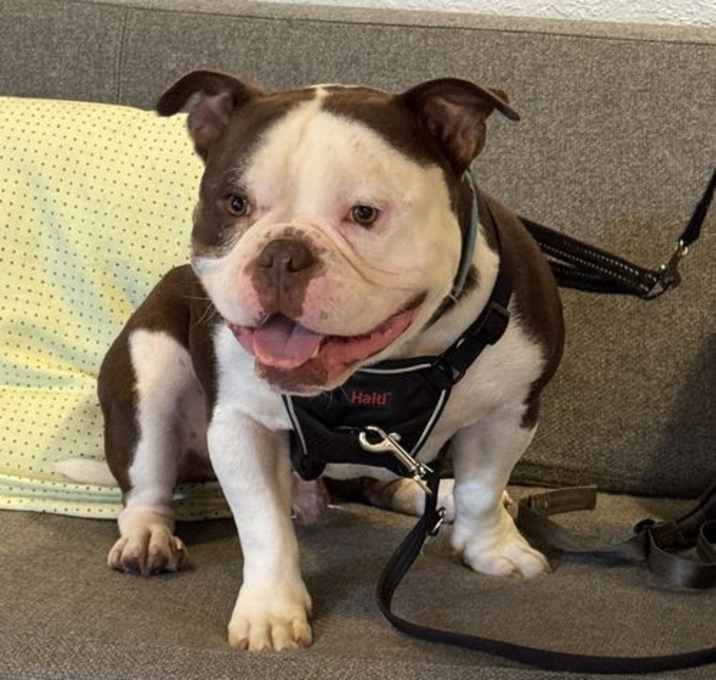 Photo of Herbie