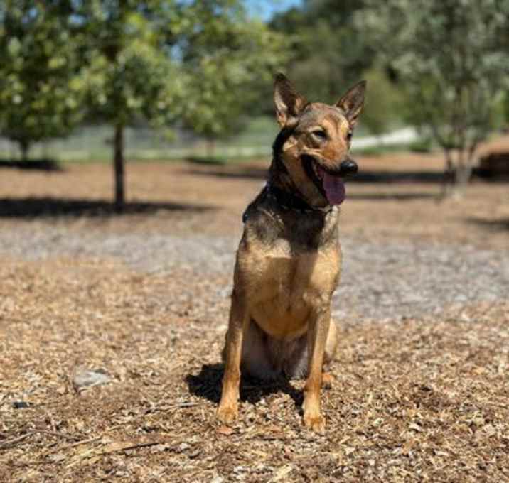 Photo of Duchess